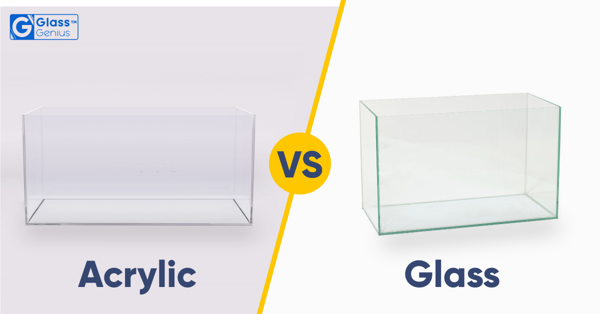 Glass Vs Acrylic Aquarium: Which Is Best For You? - FishLab