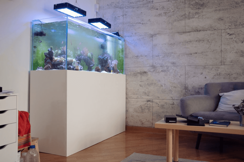 How to Safely Clean Your Acrylic Aquarium - Living Art Aquatics